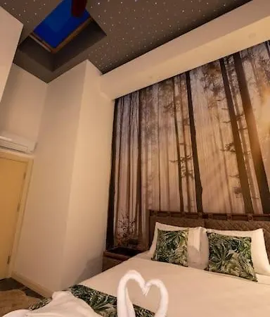 Sehir Merkezinde Lueks - Ocekhomes Adin