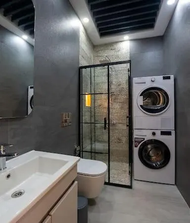 Sehir Merkezinde Lueks - Ocekhomes Adin